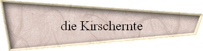 die Kirschernte