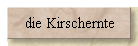 die Kirschernte